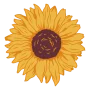 870d4ad140d7a67f5d86aa372d8b8167-marvelous-sunflower-view